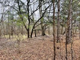 703 Dennis Ridge Road