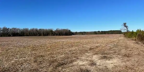 1872 Jordan Church Road, Manning SC 29102