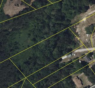 Old Black Oak Road