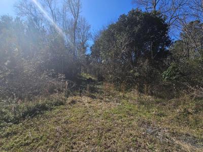 Old Black Oak Road