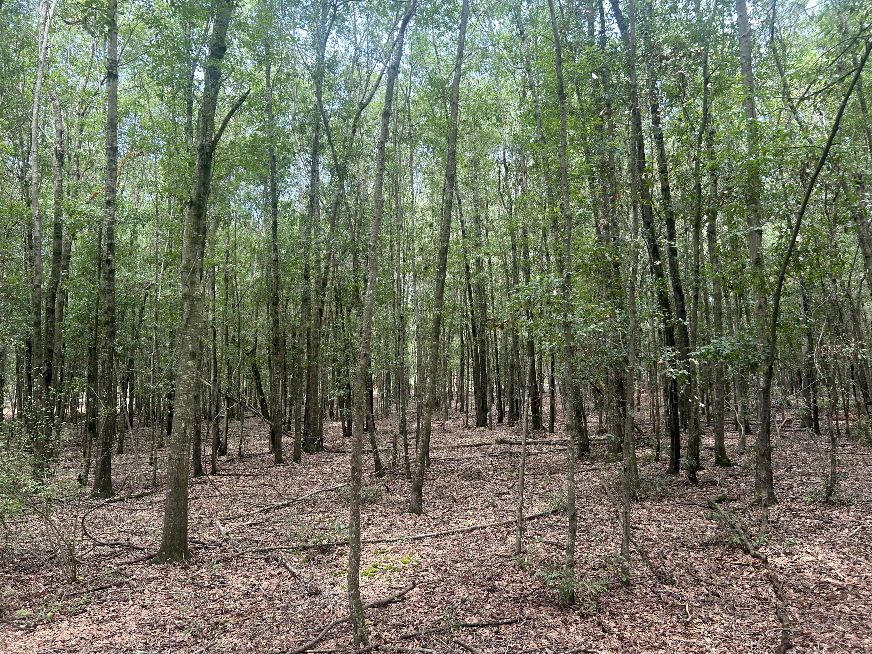 Image 3: IMG_2013