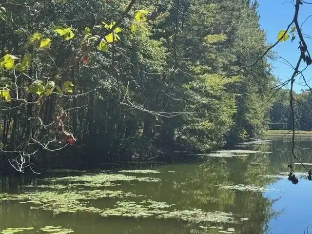 Image 1: poplarcreek8
