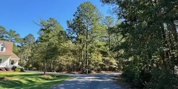 Image 3: poplar creek1