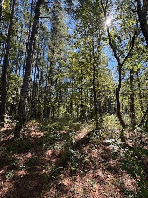 Image 4: poplarcreekmain