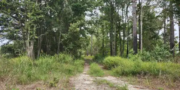 Spring Dell Way