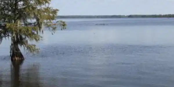 Lot 9 Pintail Lane