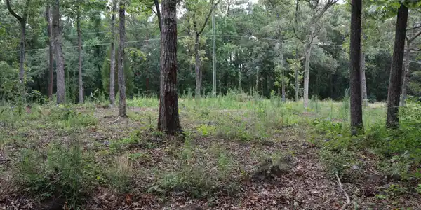 Hickory Spring Rd Road