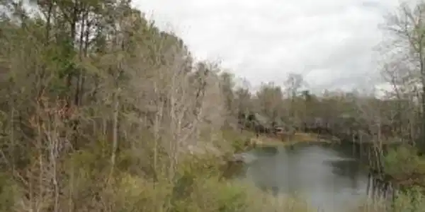 Lot#2 Row Boat Lane