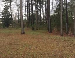 000 Haynesville Rd Exd