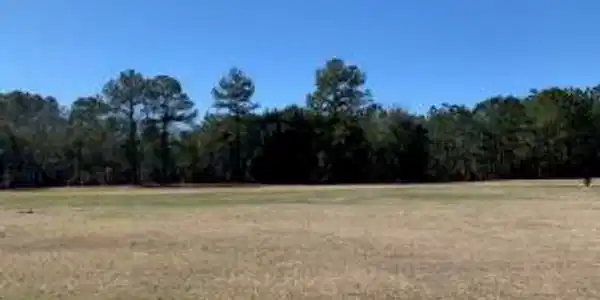 Lot 25 Palmetto Air Plantation