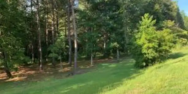 Tbd Myrtle Drive