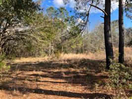 408 Dike Road