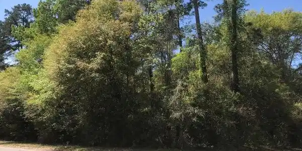 0 Driftwood Drive
