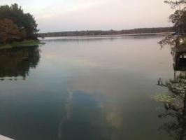 407 Lake Moultrie Drive