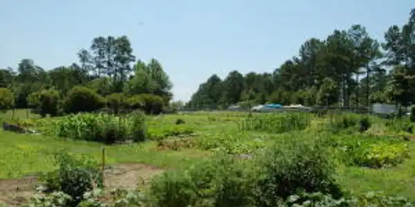 121 Plantation Drive