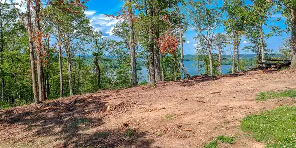 7313 River Run Dr