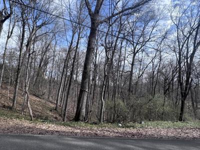 9976 Blue Springs Road