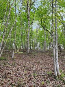 4622 Parker Loop Road