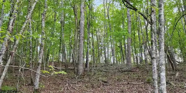 4622 Parker Loop Road
