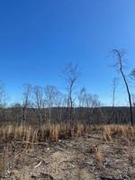 Lot 12 River Road  12