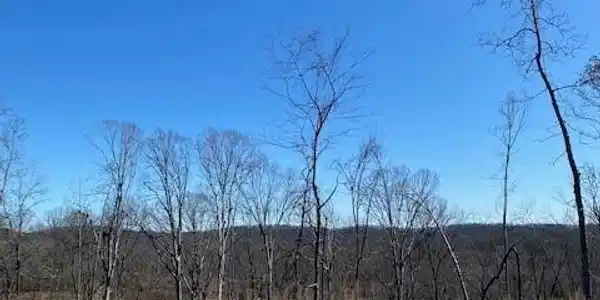 Lot 12 River Road  12
