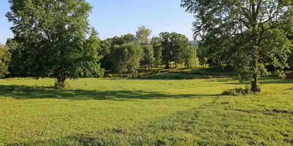 1007 Luptonville Crossing