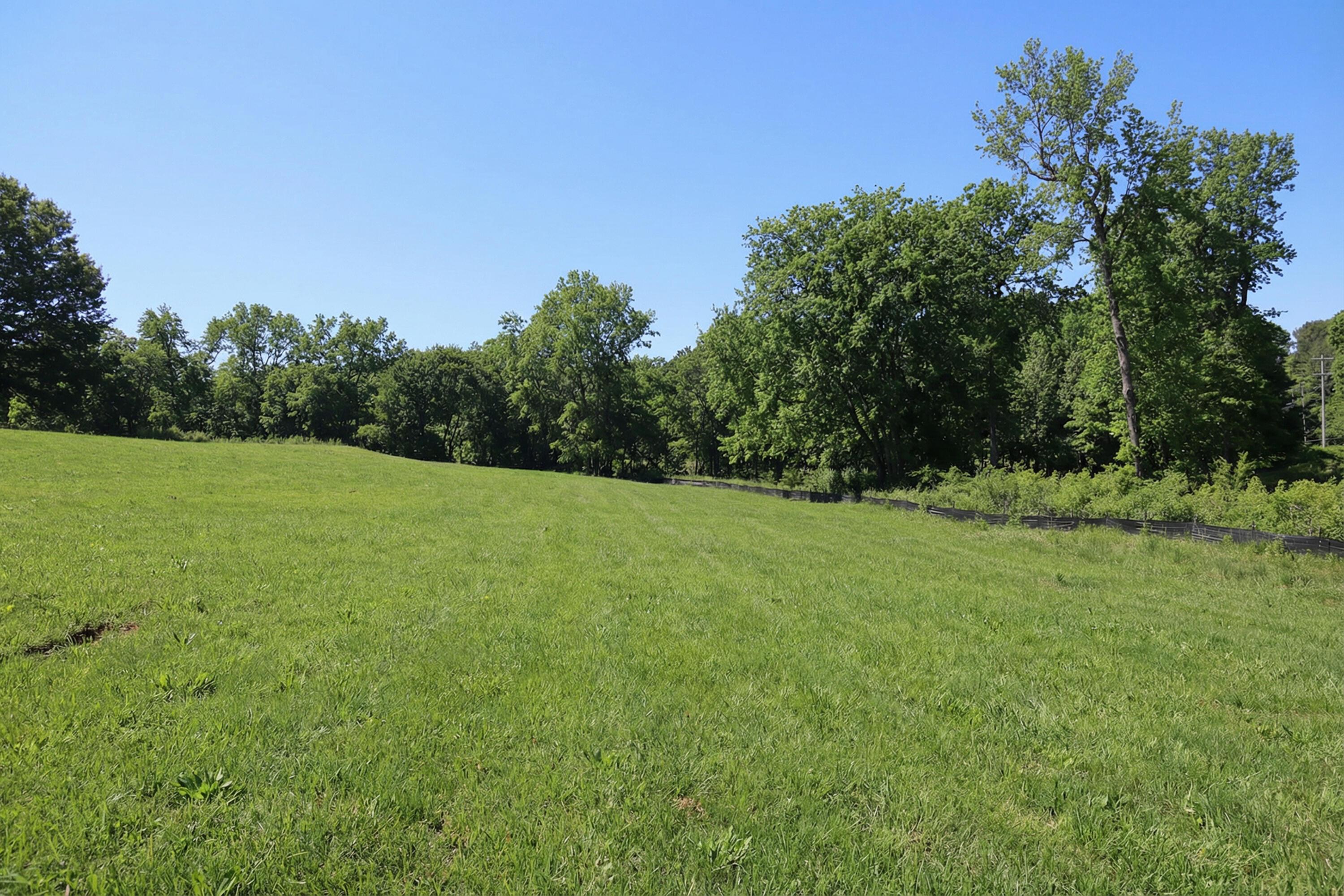 Image 2: Lot 1, Lower