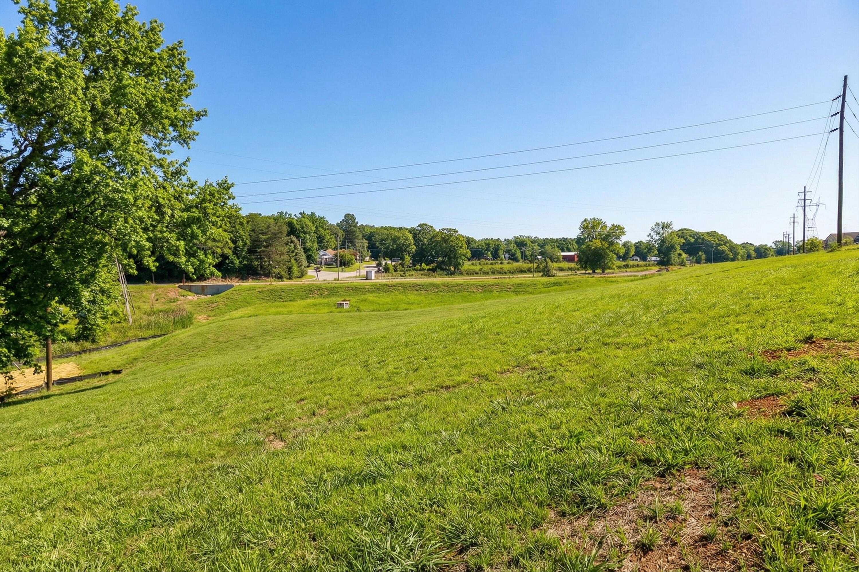 Image 3: Lot 1, Facing Entrance