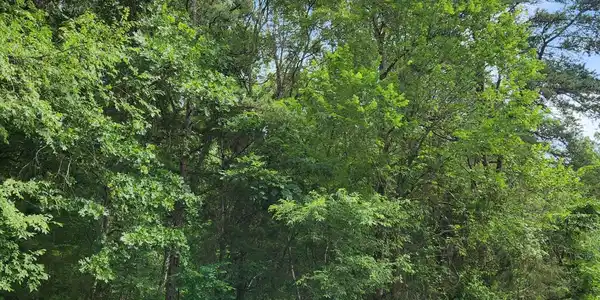 0 River Road