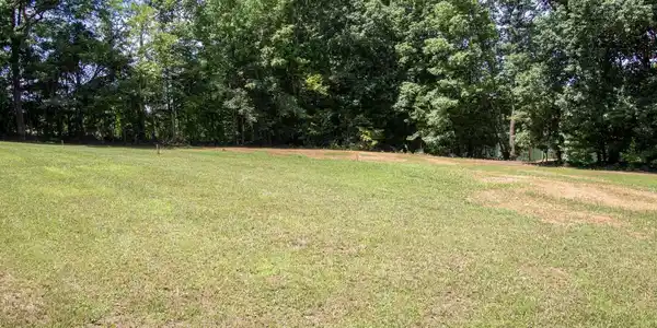 Image 3: 3