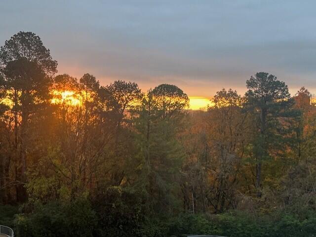 Image 2: Sunrise from Balcony