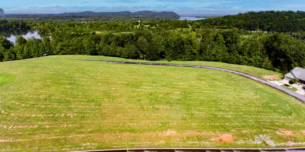 Image 4: Lot 49 (1)