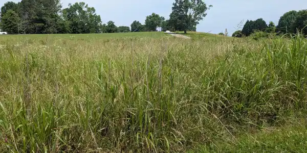 Lot #2 Riverbend Drive