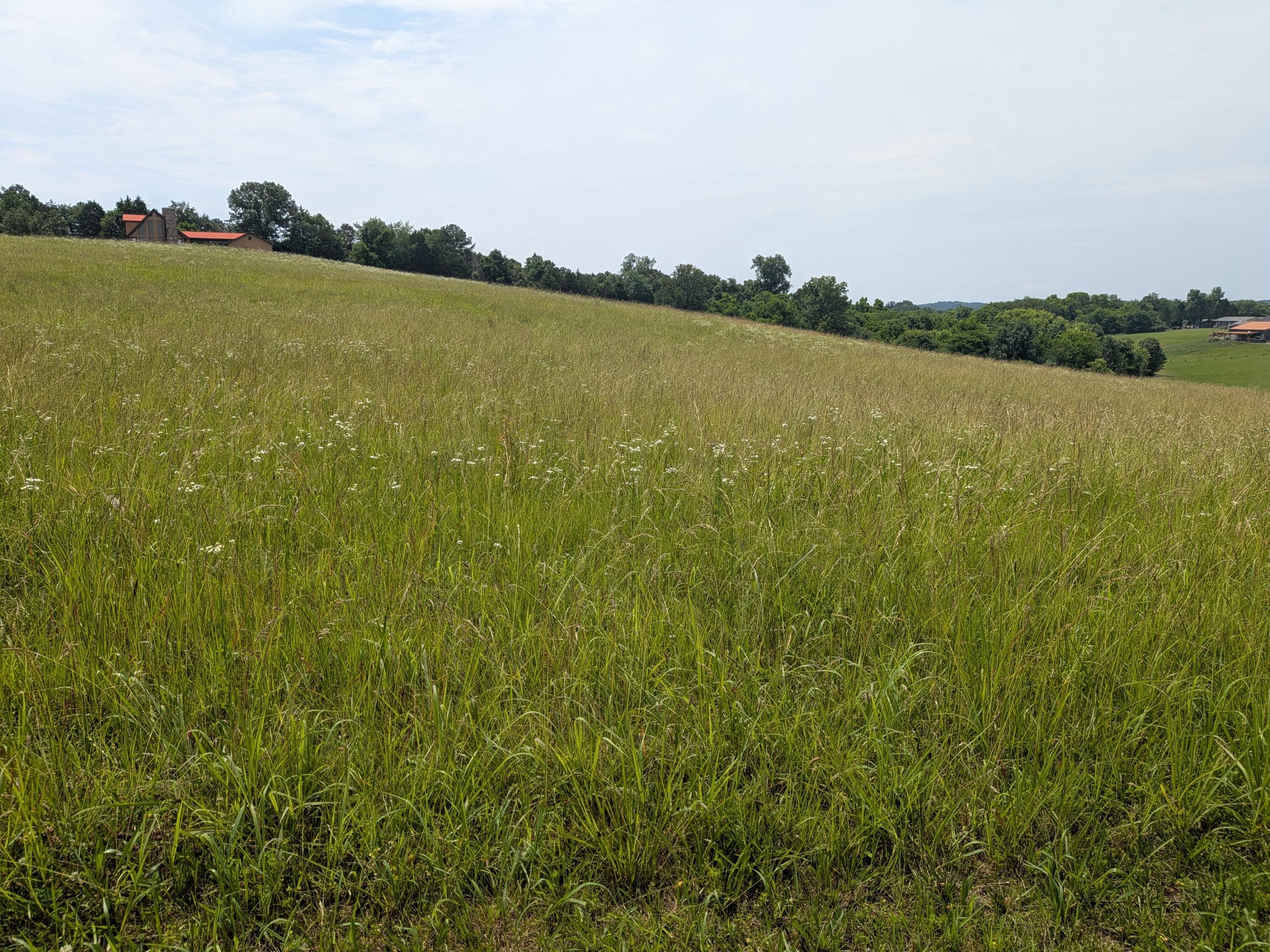 Image 3: PXL_20260529_160118724