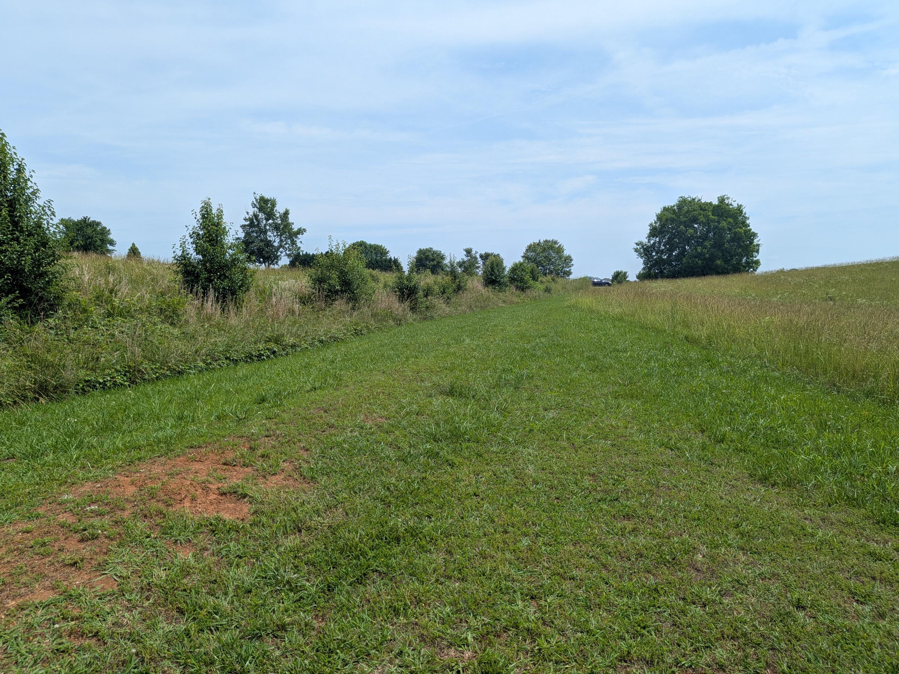 Image 4: PXL_20260529_160217238