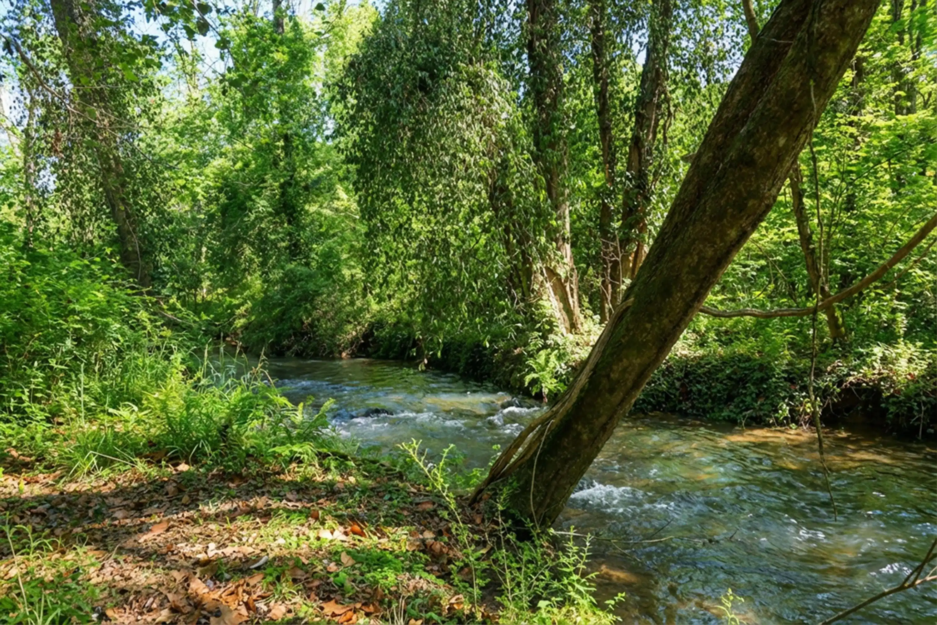 Image 1: Lot 25B Creek
