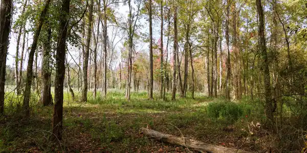 Image 2: Lot 25B Interior