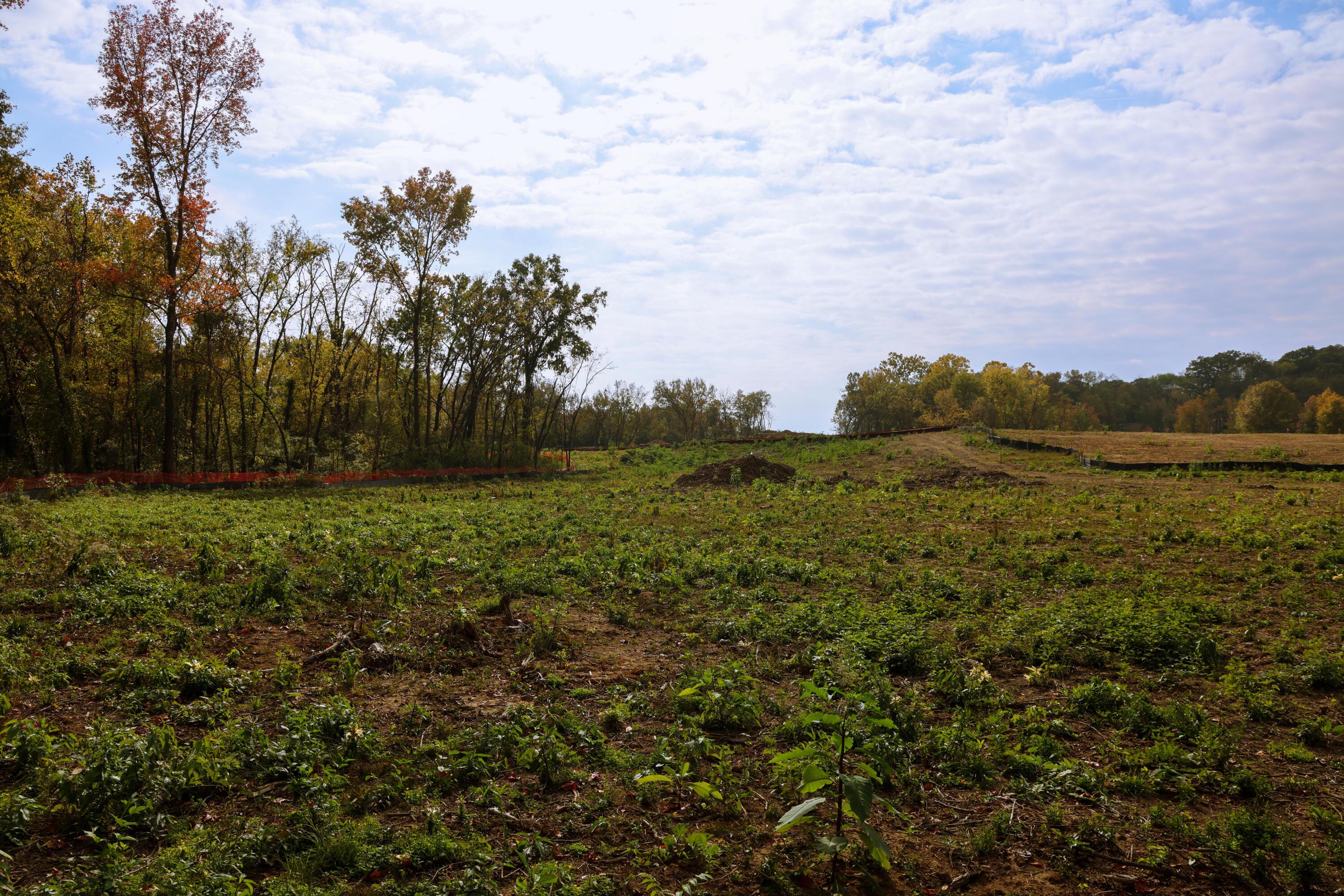 Image 4: Lot 25B