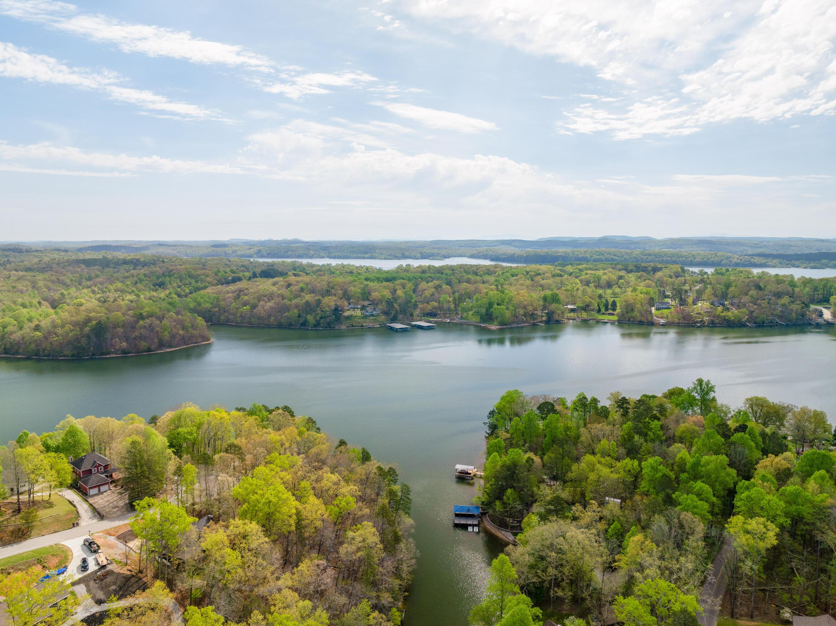 Image 4: 10 - 13300 Bellacoola april - Drone
