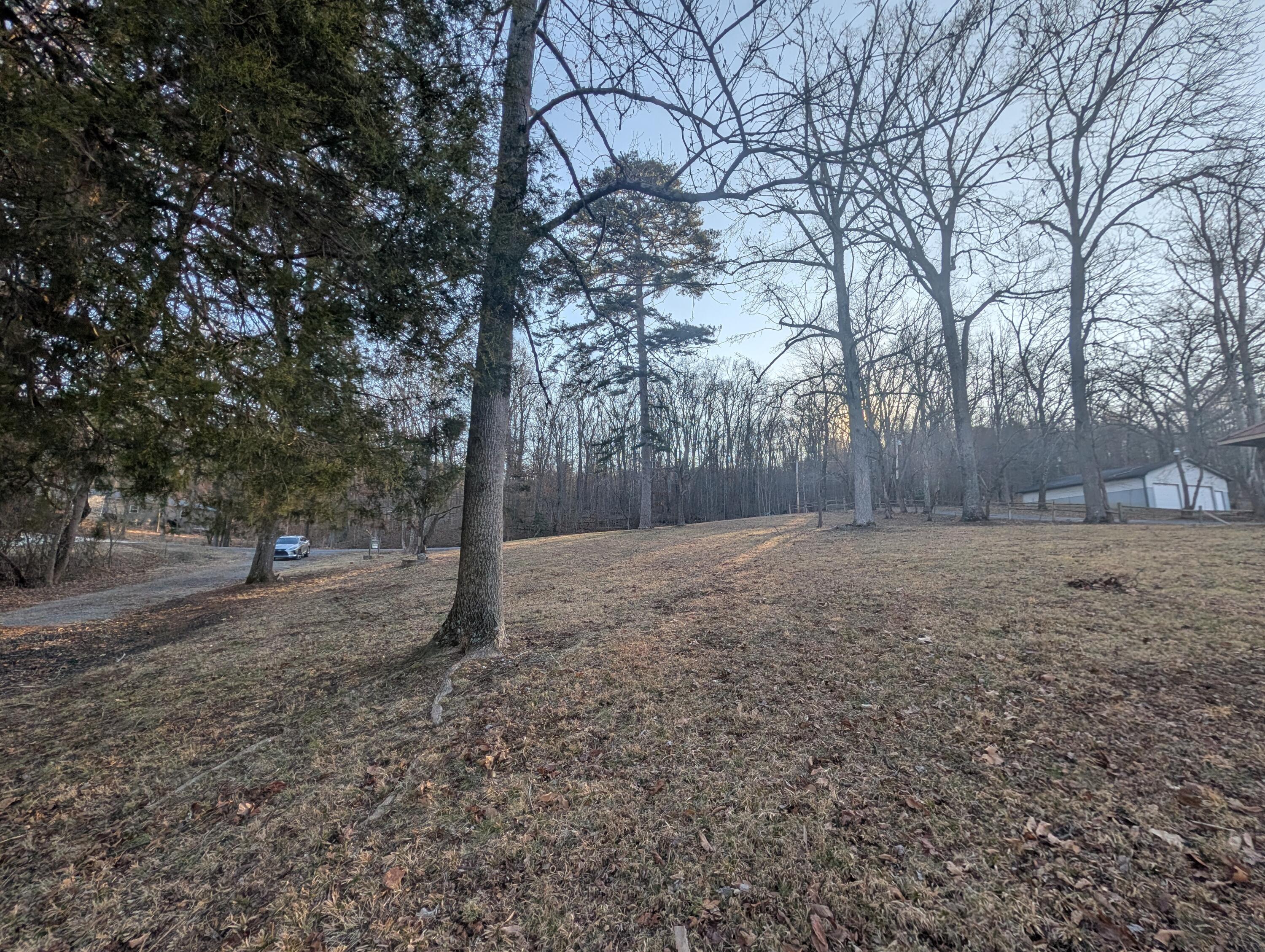Image 2: PXL_20260209_140122068