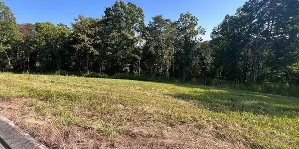 Image 2: Lot 29 2
