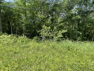 Lot 4 Tonja Ln