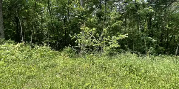 Lot 4 Tonja Ln