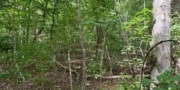00 Geren Subdivision Lane