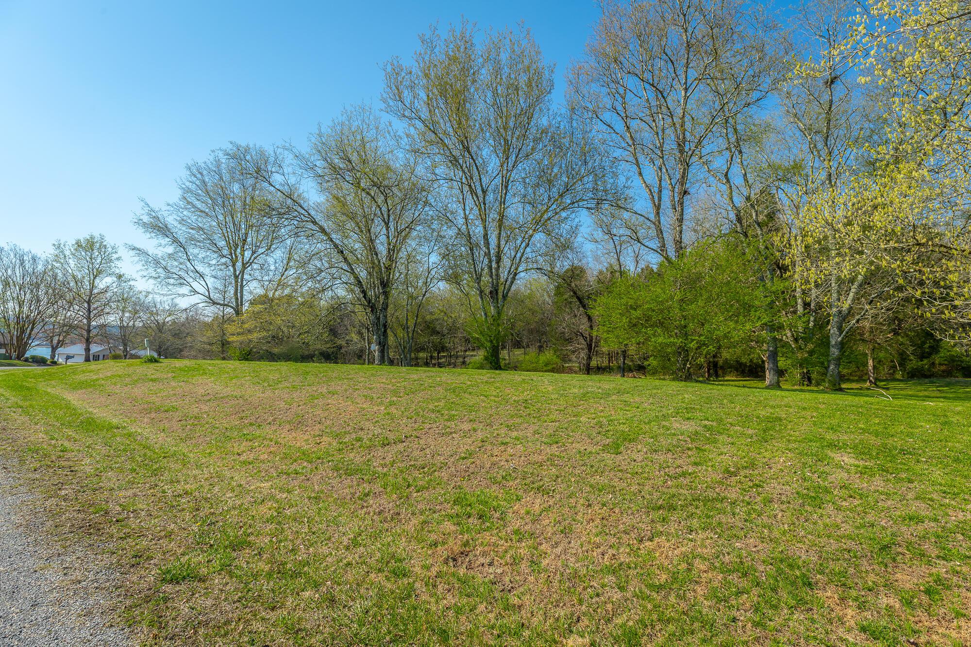 Image 4: Level lot near end of cul de sac