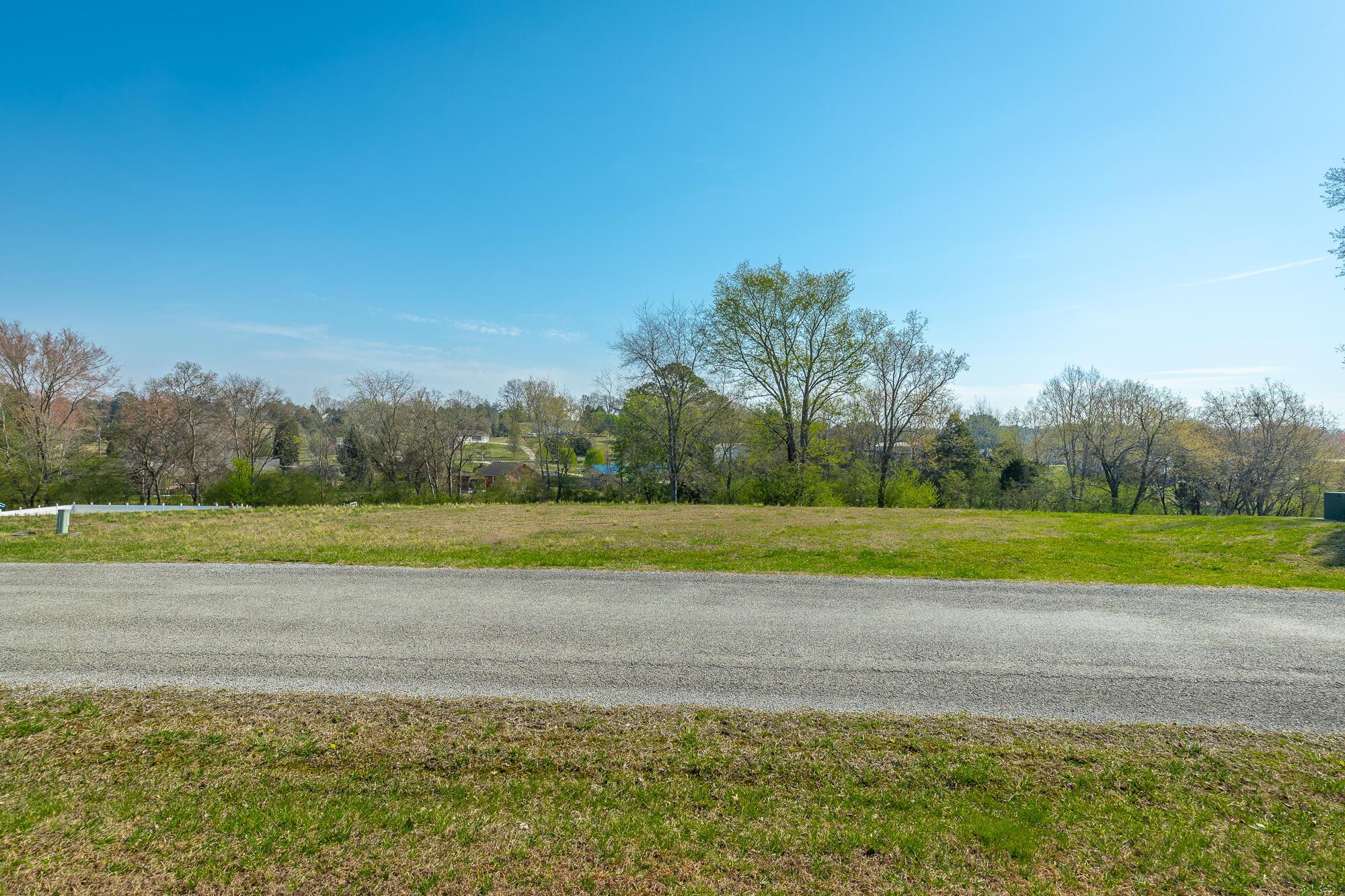 Image 4: Road frontage