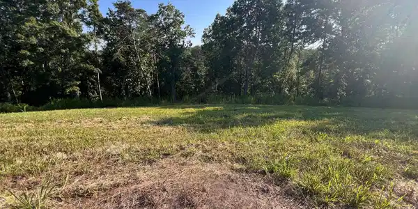 Image 3: Lot 29 3