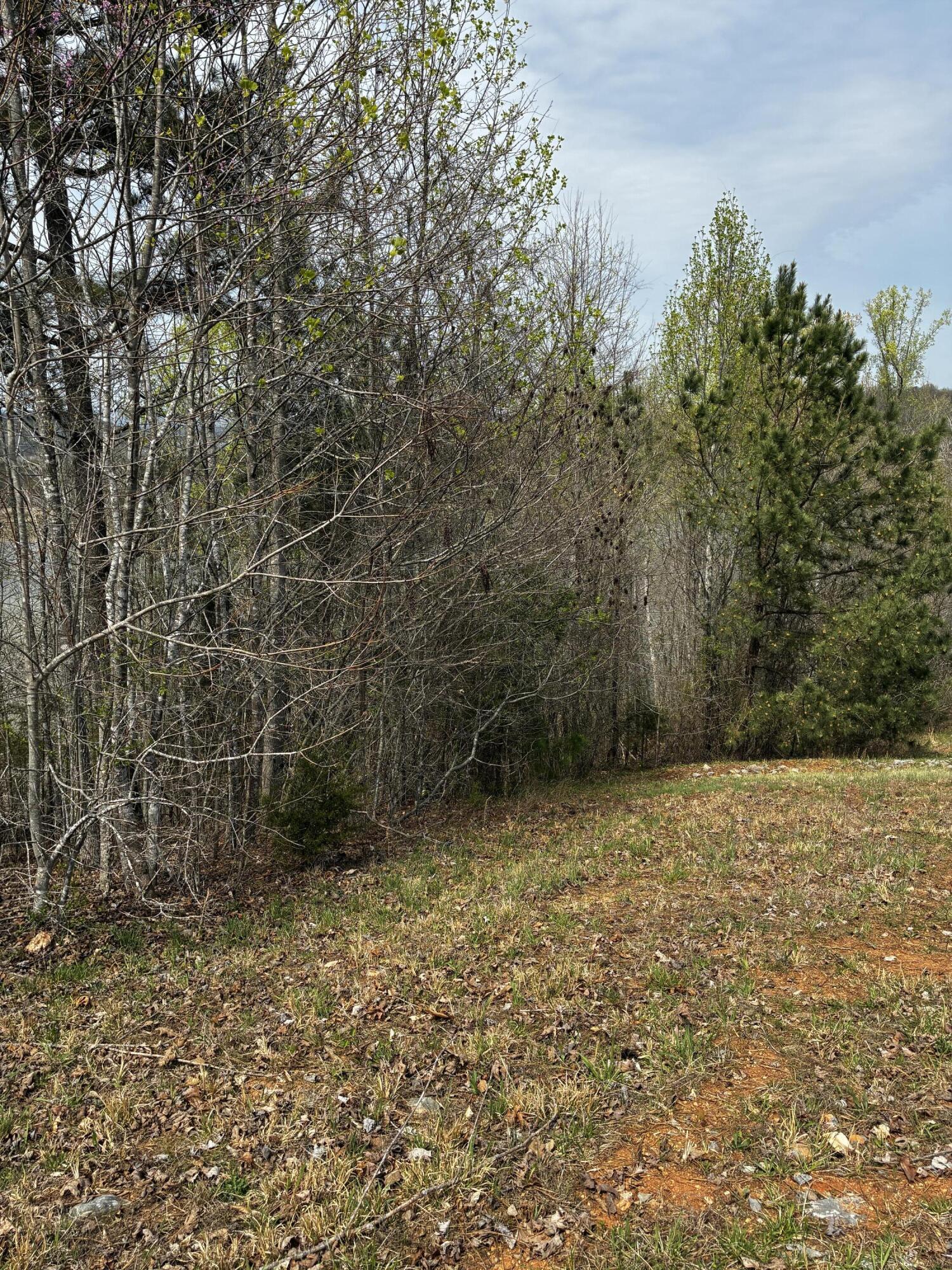 Image 4: IMG_5244