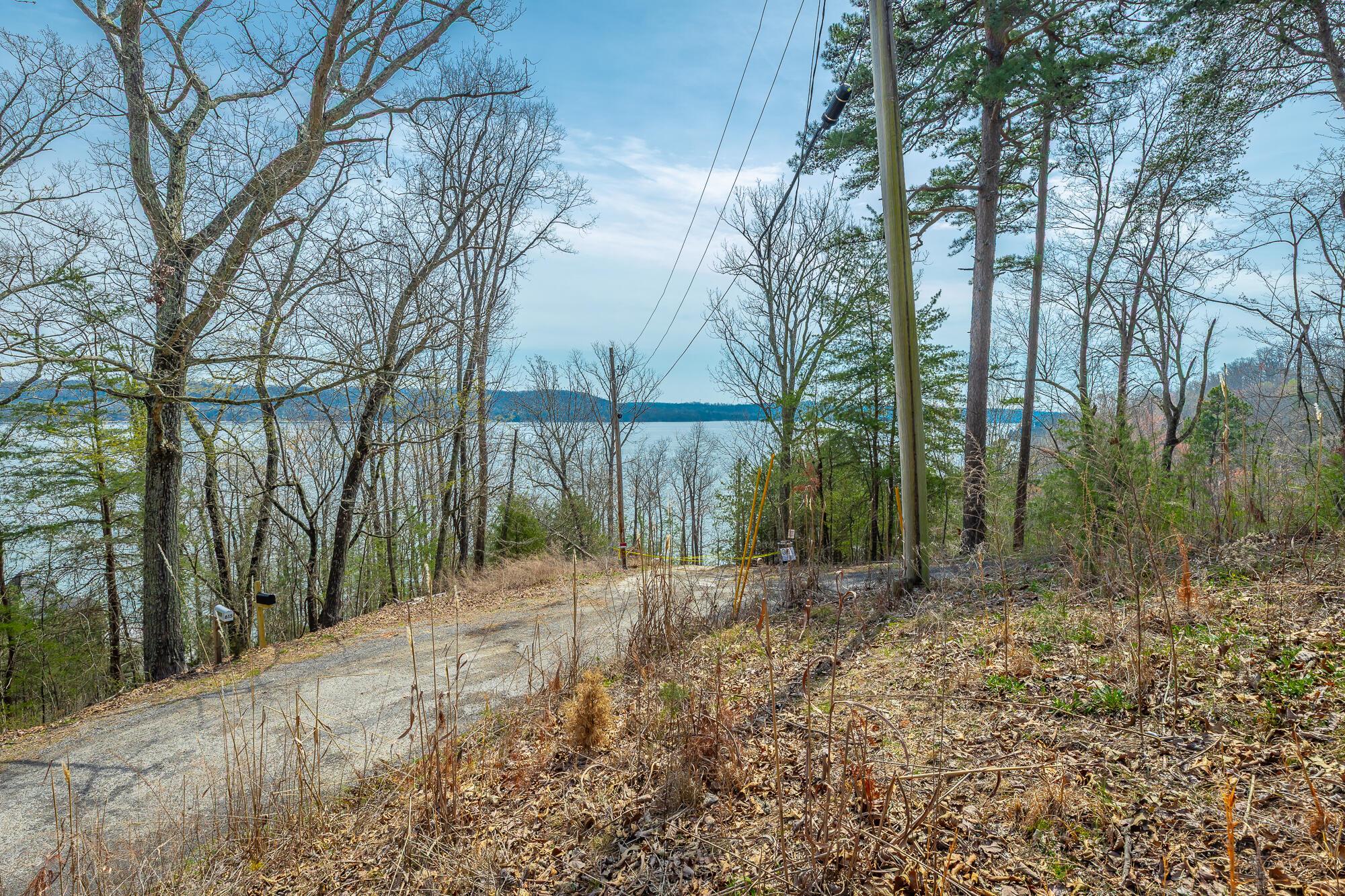 Image 3: View of Tennessee River