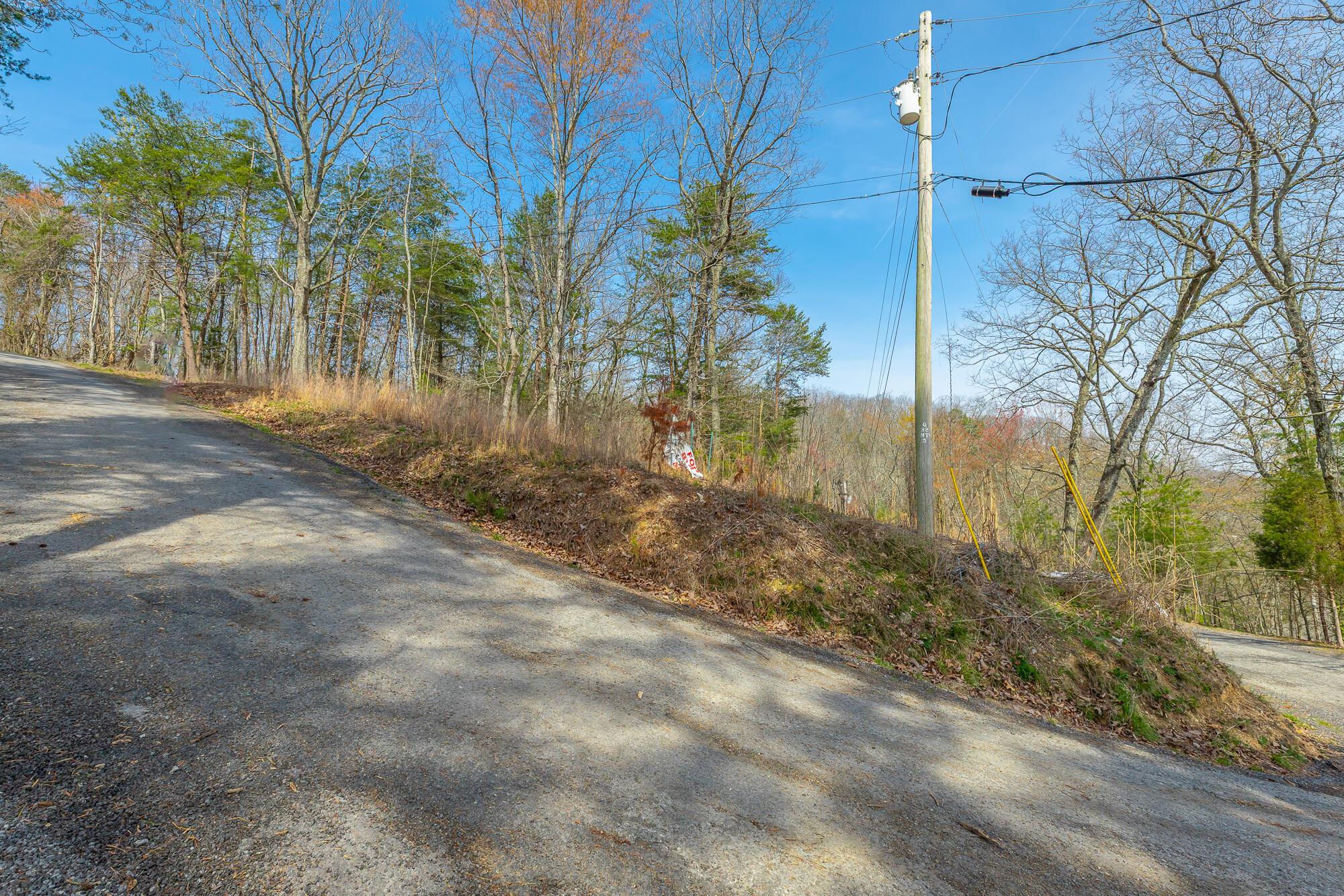 Image 4: William Drive